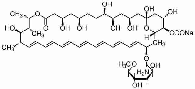 Amphotericin B (Fungizone)