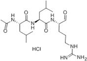 Leupeptin-HCl-Synthetic Chemical Compound