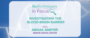 Investigating the blood-brain barrier