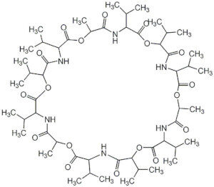 Valinomycin, Streptomyces fulvissimus