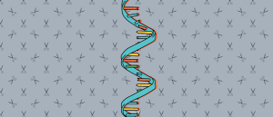 RNA strand with scissors pattern behind it