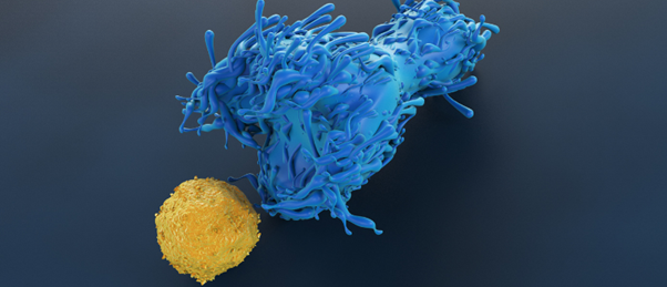 CD4+ T-cells