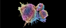 T-cell therapies