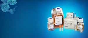 Optimizing alternative vessel formats for transient protein production in the Expi293 PRO Expression System